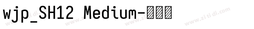 wjp_SH12 Medium字体转换 wjp_SH12 Medium字体转换